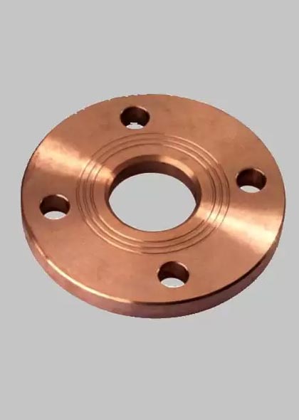 Slip On Flanges